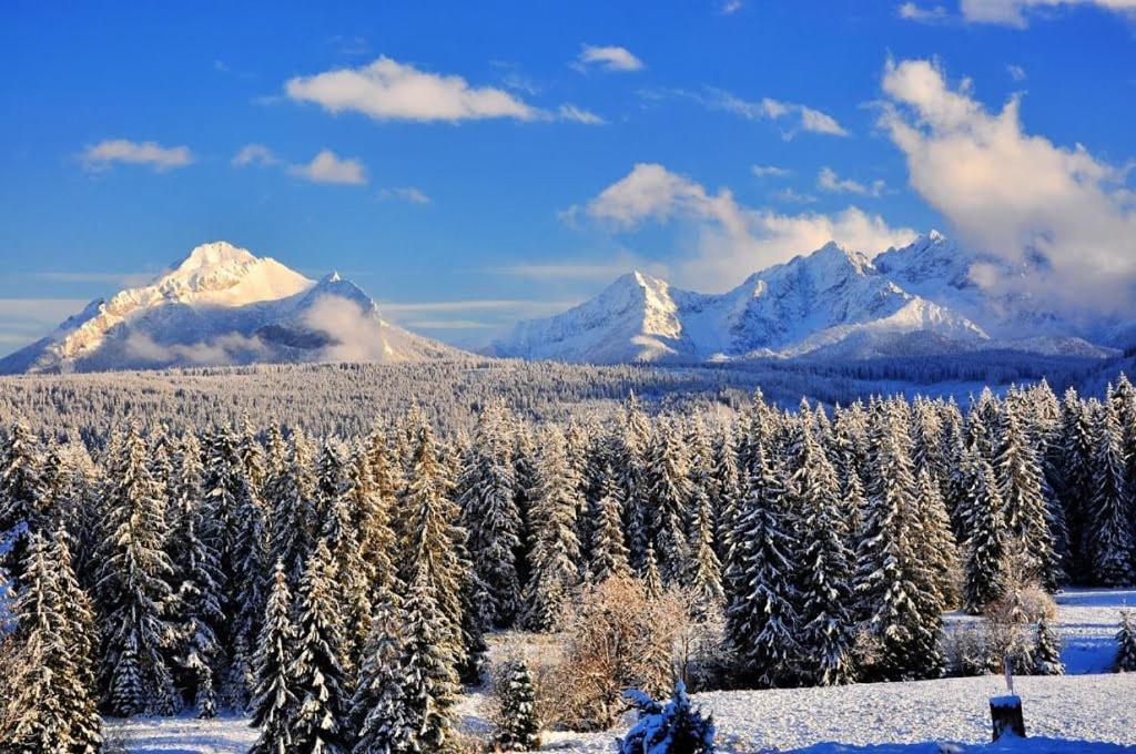 Mini-Apartment Z Pieknym Widokiem Na Tatry Murzasichle Exterior foto