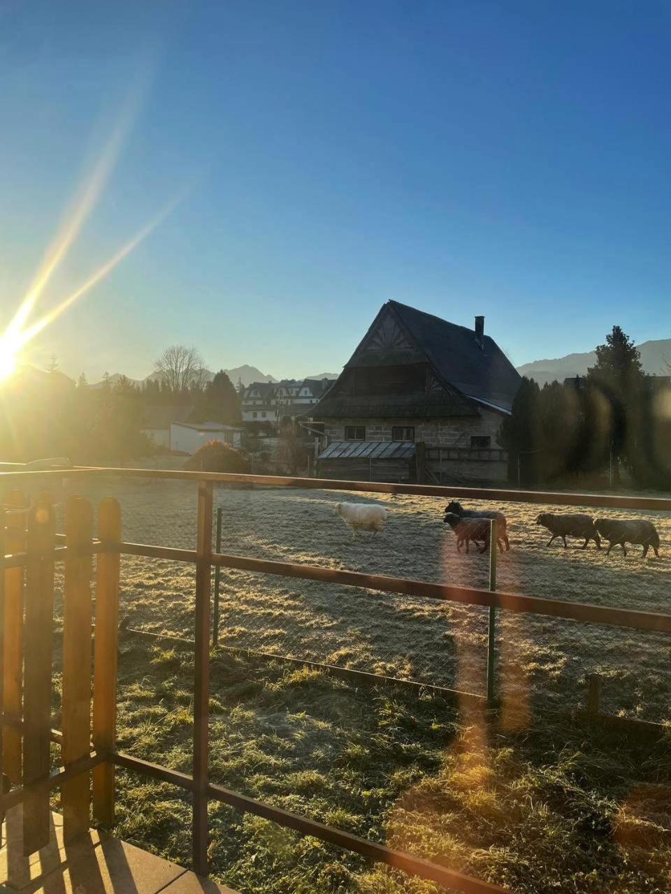 Mini-Apartment Z Pieknym Widokiem Na Tatry Murzasichle Exterior foto